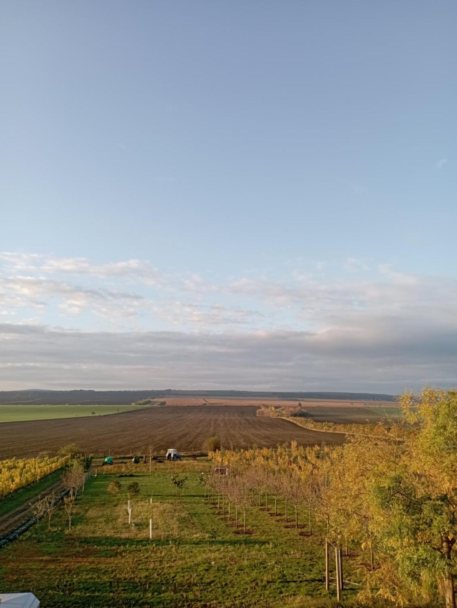 Vinarsky Penzion Strachotice Exterior photo